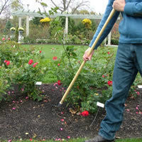 CobraHead® Long Handle Weeder & Cultivator Garden Tool