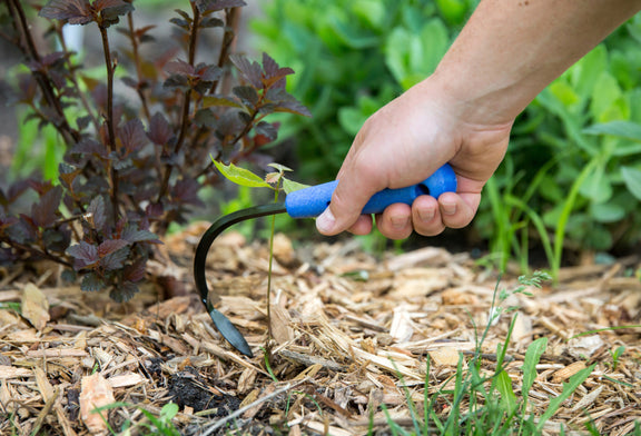 CobraHead® Mini Weeder & Cultivator Garden Tool