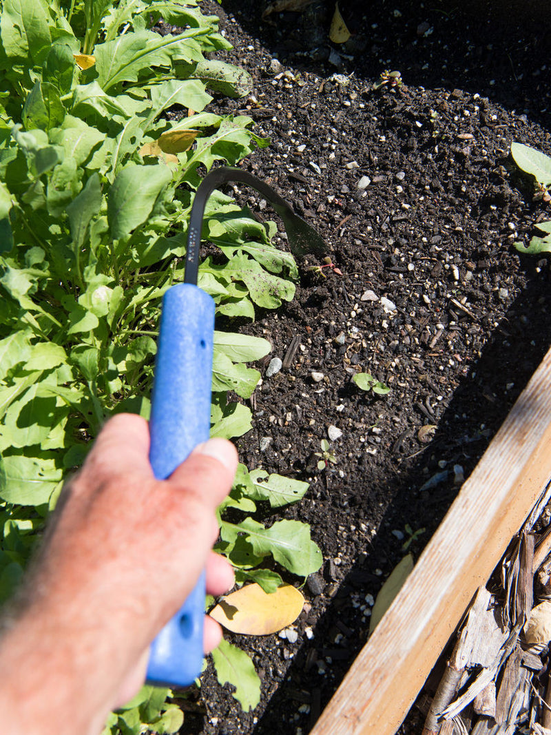 CobraHead® Original Weeder & Cultivator