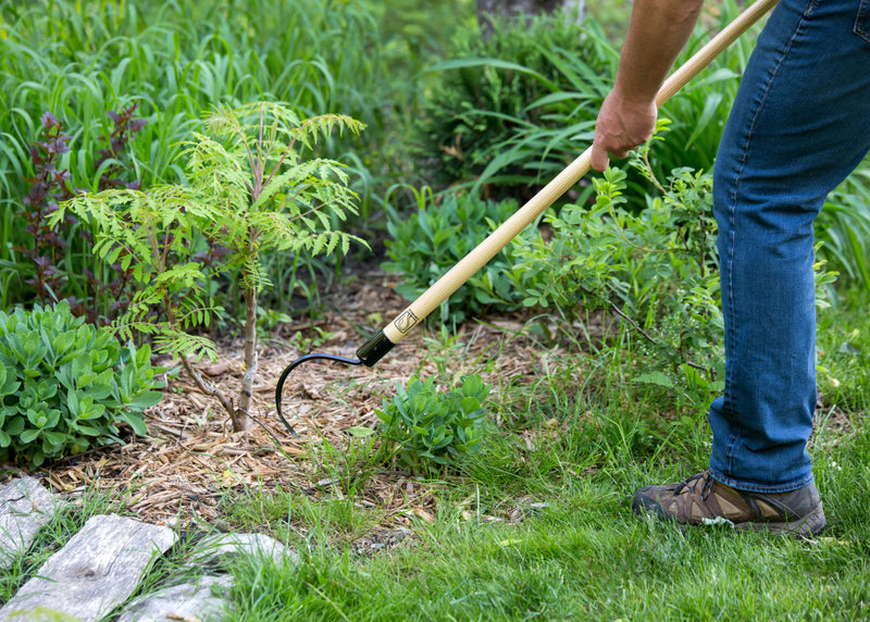 CobraHead® Long Handle Weeder & Cultivator Garden Tool