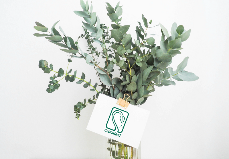 Gift Certificates
